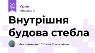Внутрішня будова стебла