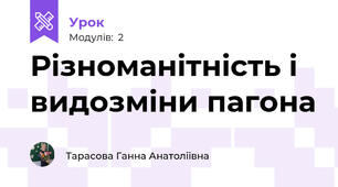 Різноманітність і видозміни пагона