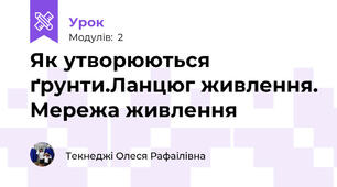 Як утворюються ґрунти.Ланцюг живлення. Мережа живлення