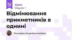 Відмінювання прикметників в однині