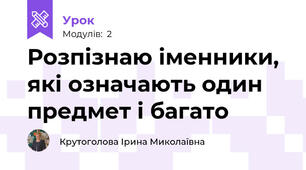 Розпізнаю іменники, які означають один предмет і багато