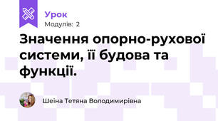 Значення опорно-рухової системи, її будова та функції.