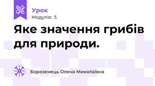 Яке значення грибів для природи.
