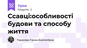 Ссавці:особливості будови та способу життя