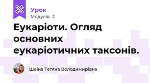 Еукаріоти. Огляд основних еукаріотичних таксонів.