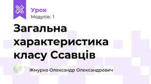 Загальна характеристика класу Ссавців