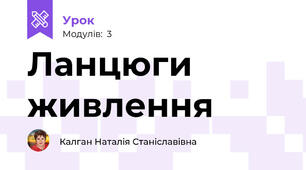 Ланцюги живлення
