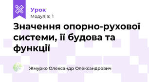 Значення опорно-рухової системи, її будова та функції