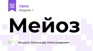 Мейоз