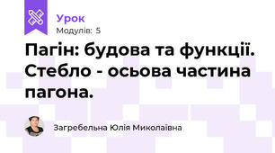 Пагін: будова та функції. Стебло - осьова частина пагона.