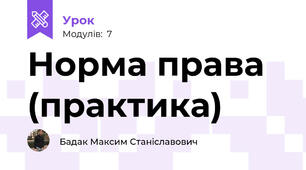 Норма права (практика)