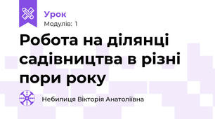 Робота на ділянці садівництва в різні пори року