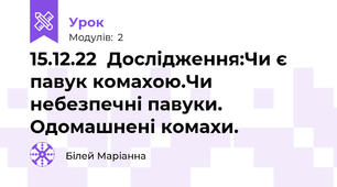 15.12.22  Дослідження:Чи є павук комахою.Чи небезпечні павуки. Одомашнені комахи.
