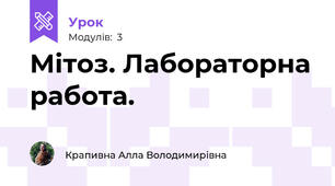 Мітоз. Лабораторна работа.