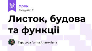 Листок, будова та функції