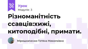 Різноманітність ссавців:хижі, китоподібні, примати.