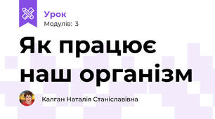 Як працює наш організм