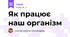 Як працює наш організм