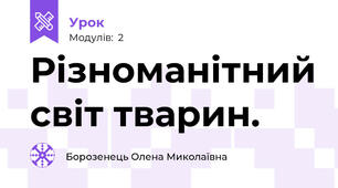 Різноманітний світ тварин.