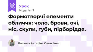 Формотворчі елементи обличчя: чоло, брови, очі, ніс, скули, губи, підборіддя.