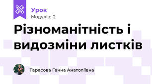 Різноманітність і видозміни листків