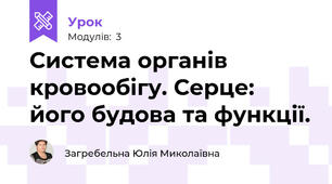 Система органів кровообігу. Серце: його будова та функції.