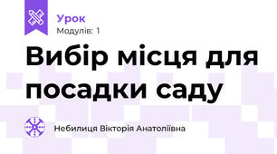 Вибір місця для посадки саду