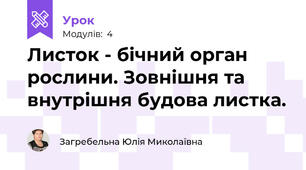 Листок - бічний орган рослини. Зовнішня та внутрішня будова листка.