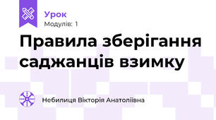 Правила зберігання саджанців взимку