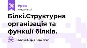Білкі.Структурна організація та функції білків.