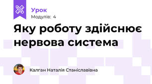 Яку роботу здійснює нервова система
