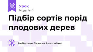 Підбір сортів порід плодових дерев