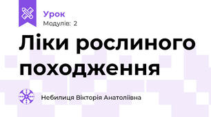 Ліки рослиного походження