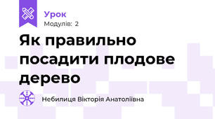 Як правильно посадити плодове дерево