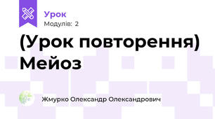 (Урок повторення) Мейоз 
