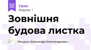 Зовнішня будова листка
