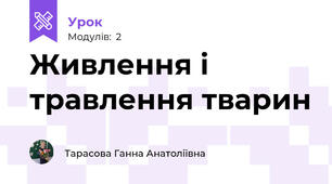 Живлення і травлення тварин