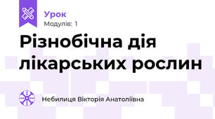 Різнобічна дія лікарських рослин