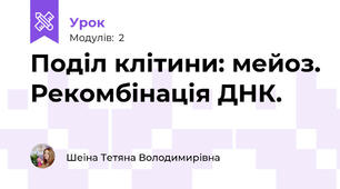 Поділ клітини: мейоз. Рекомбінація ДНК.