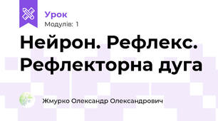 Нейрон. Рефлекс. Рефлекторна дуга