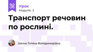 Транспорт речовин по рослині.
