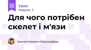 Для чого потрібен скелет і м'язи