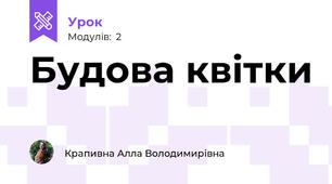 Будова квітки