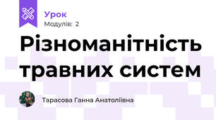 Різноманітність травних систем