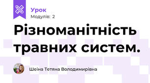 Різноманітність травних систем.