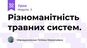 Різноманітність травних систем.