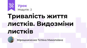 Тривалість життя листків. Видозміни листків