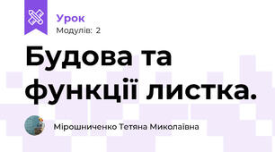 Будова та функції листка. 