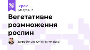 Вегетативне розмноження рослин