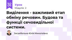 Виділення - важливий етап обміну речовин. Будова та функції сечовидільної системи.